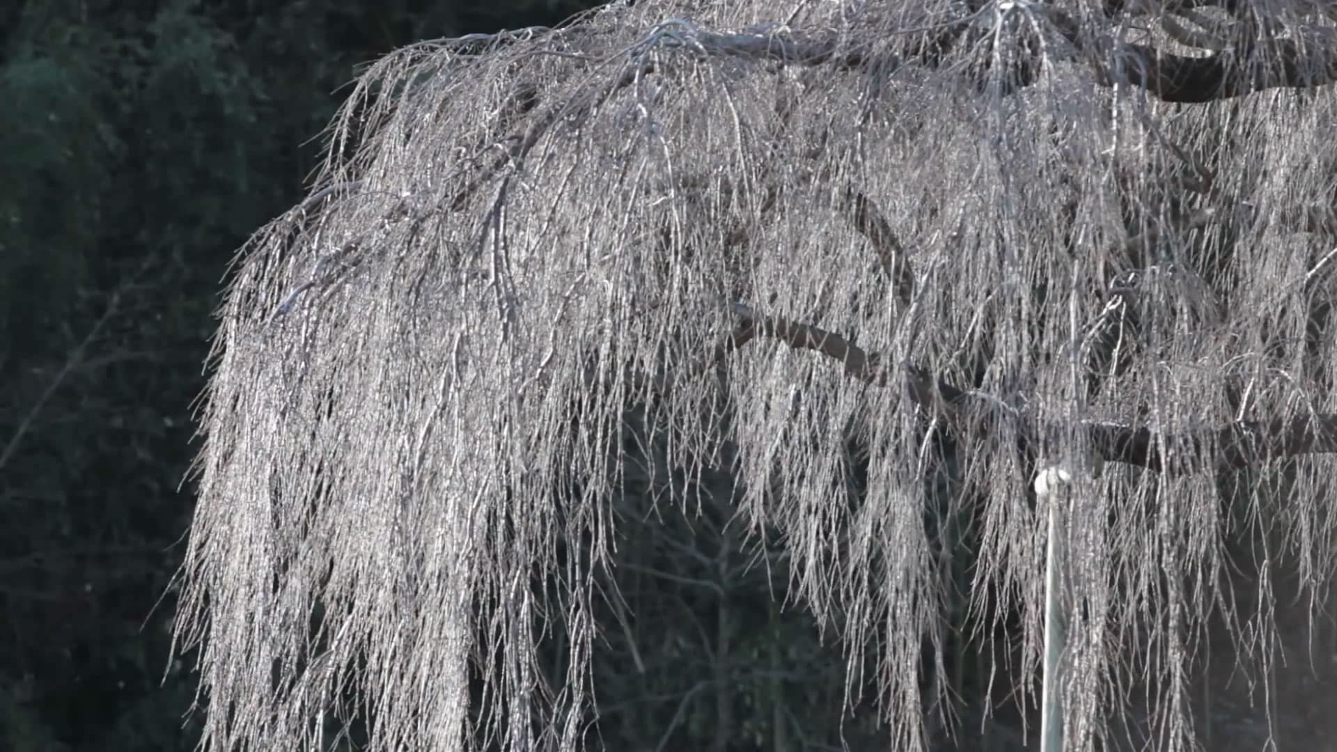 KITTEECB_ギャラリー_1