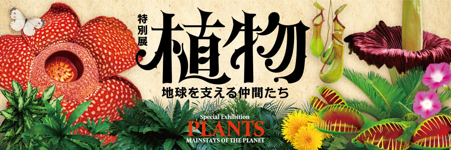 特別展「植物 地球を支える仲間たち」 | 光合成ファクトリー・花の遺伝子ABC