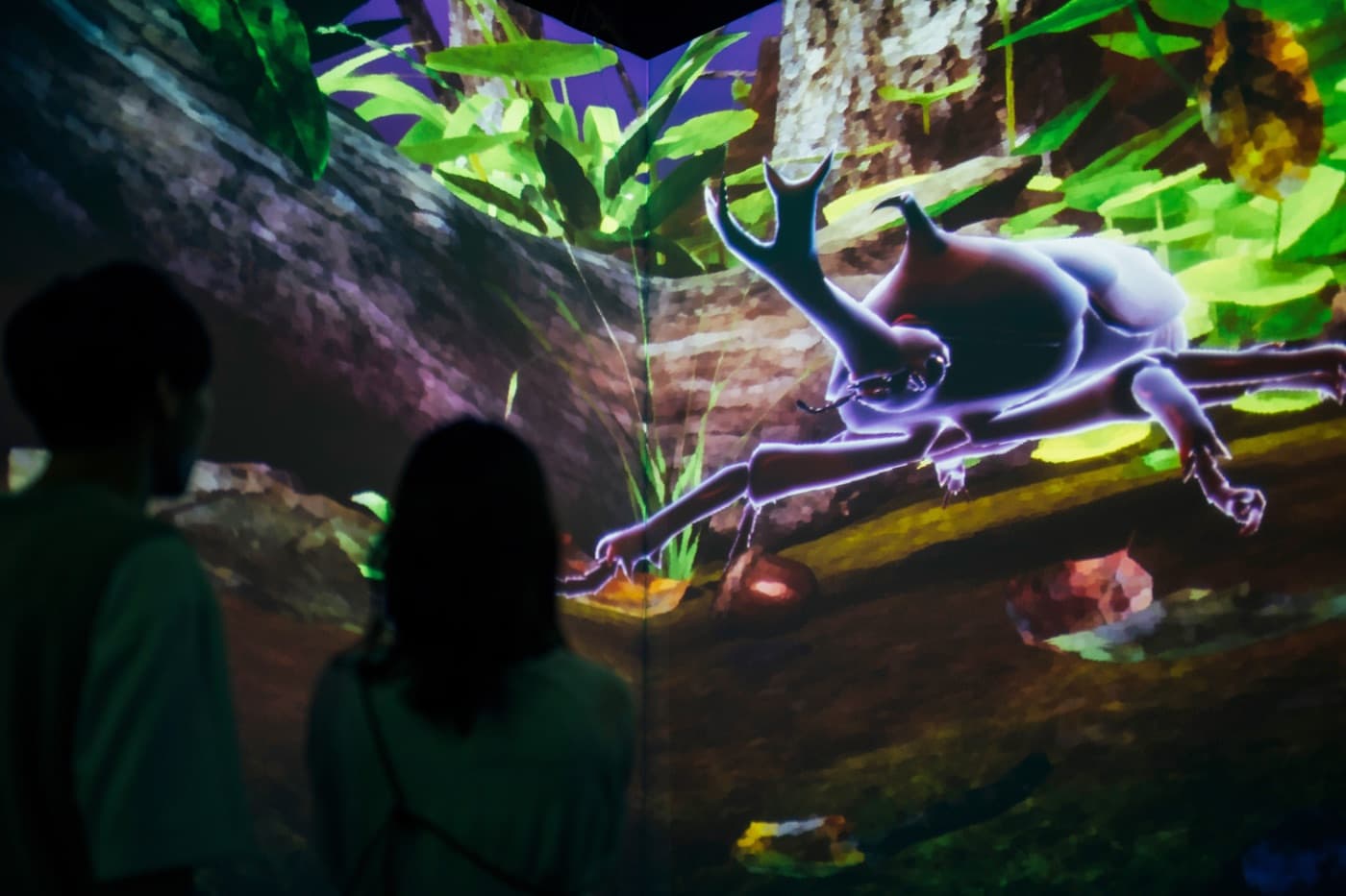 ZUKAN_ギャラリー_3