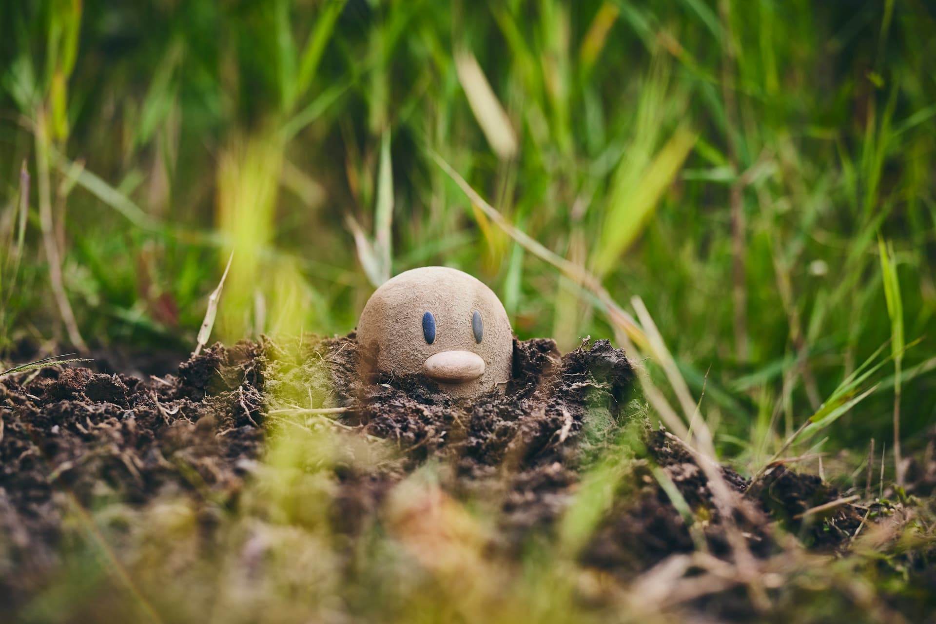 PokemonWONDER_ギャラリー_1