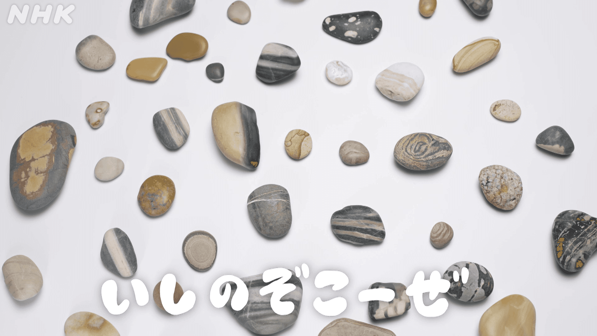 NHKEテレ| みたてるふぉーぜ 冬SP