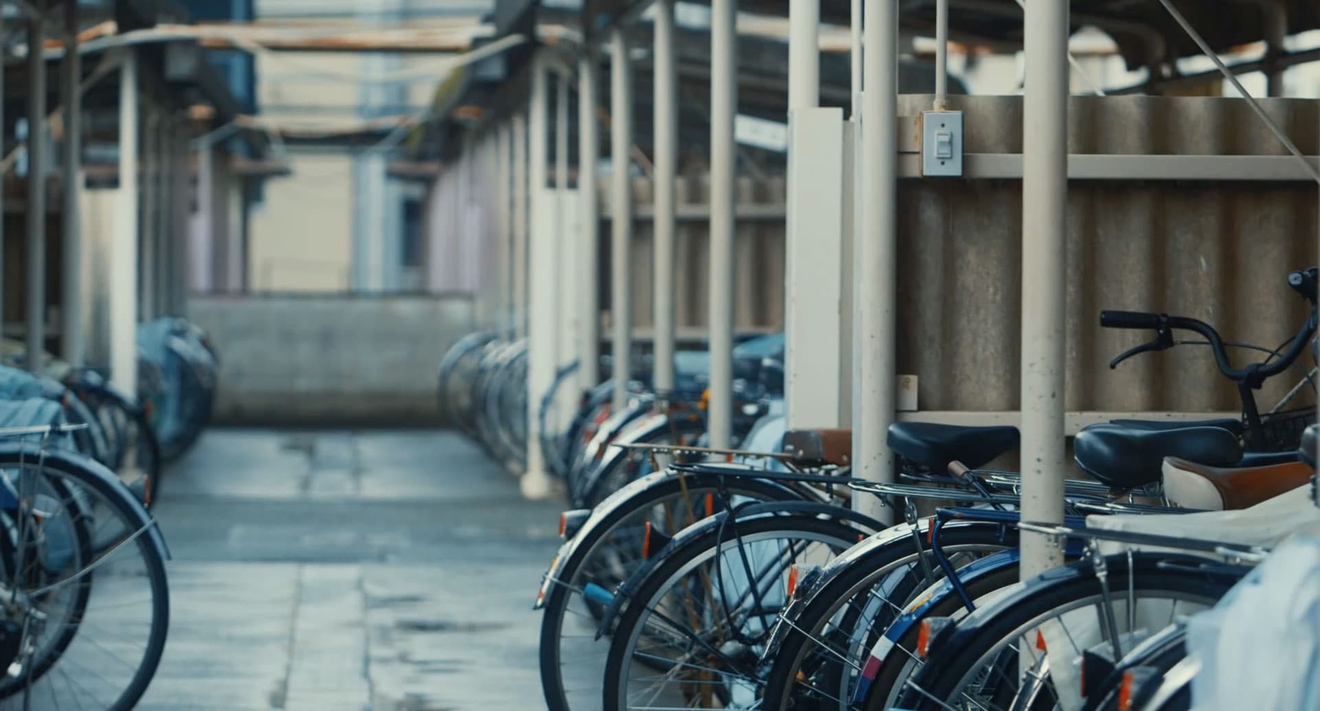 365歩のマーチ_ギャラリー_1