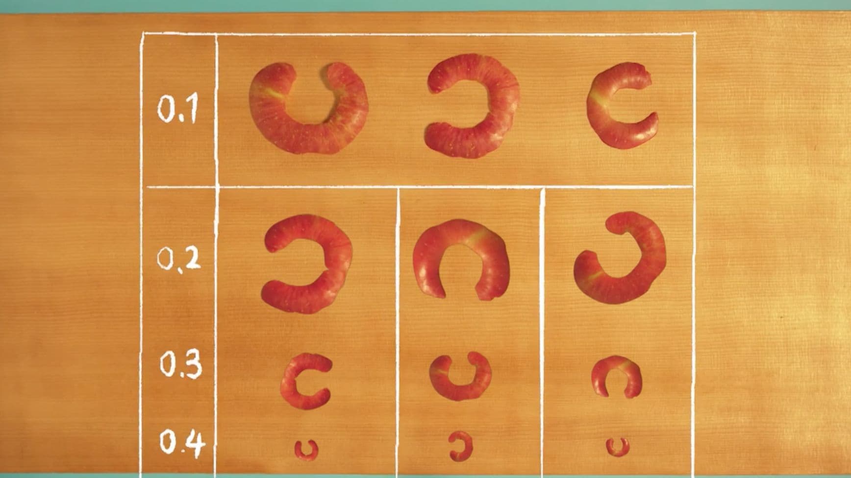 みたてるふぉーぜ3_ギャラリー_2