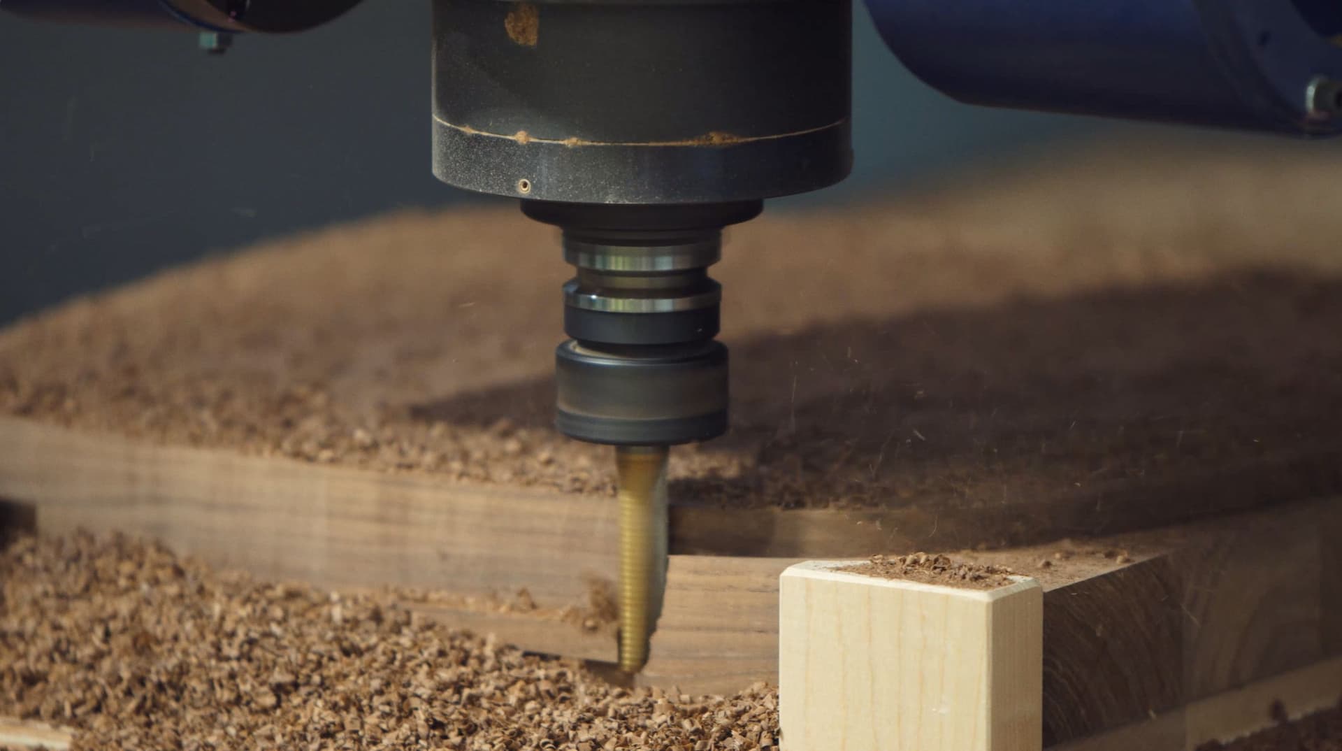 マルニ2020_ギャラリー_2