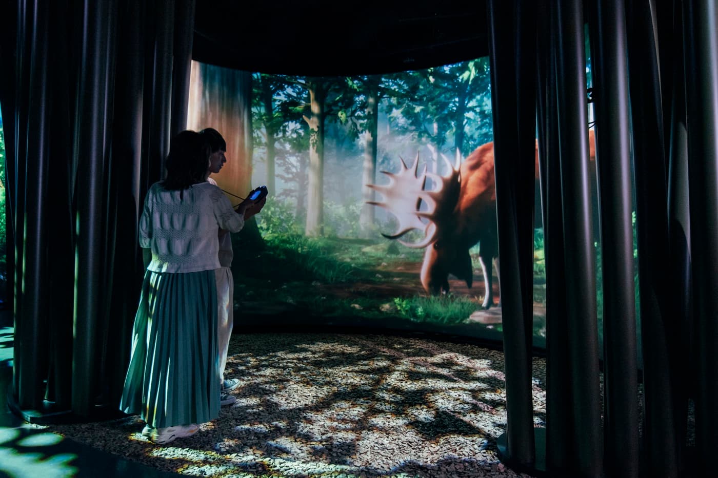 ZUKAN_ギャラリー_1