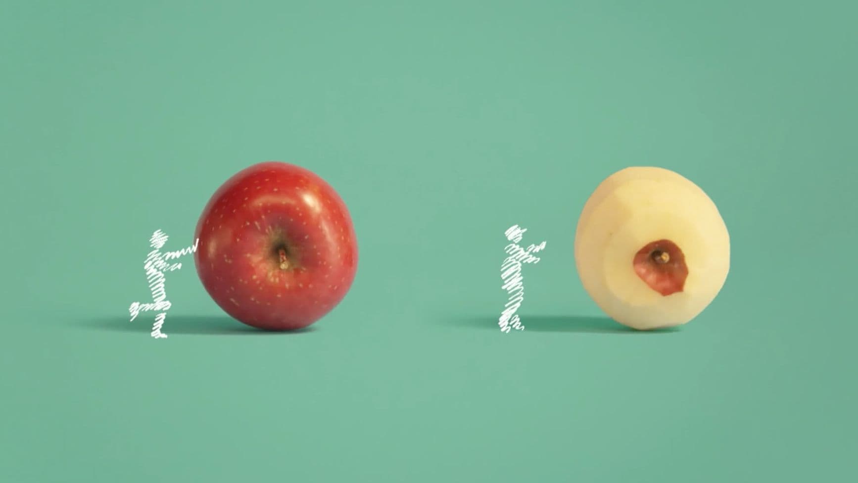 NHK Eテレ|みたてるふぉーぜ(第3弾)