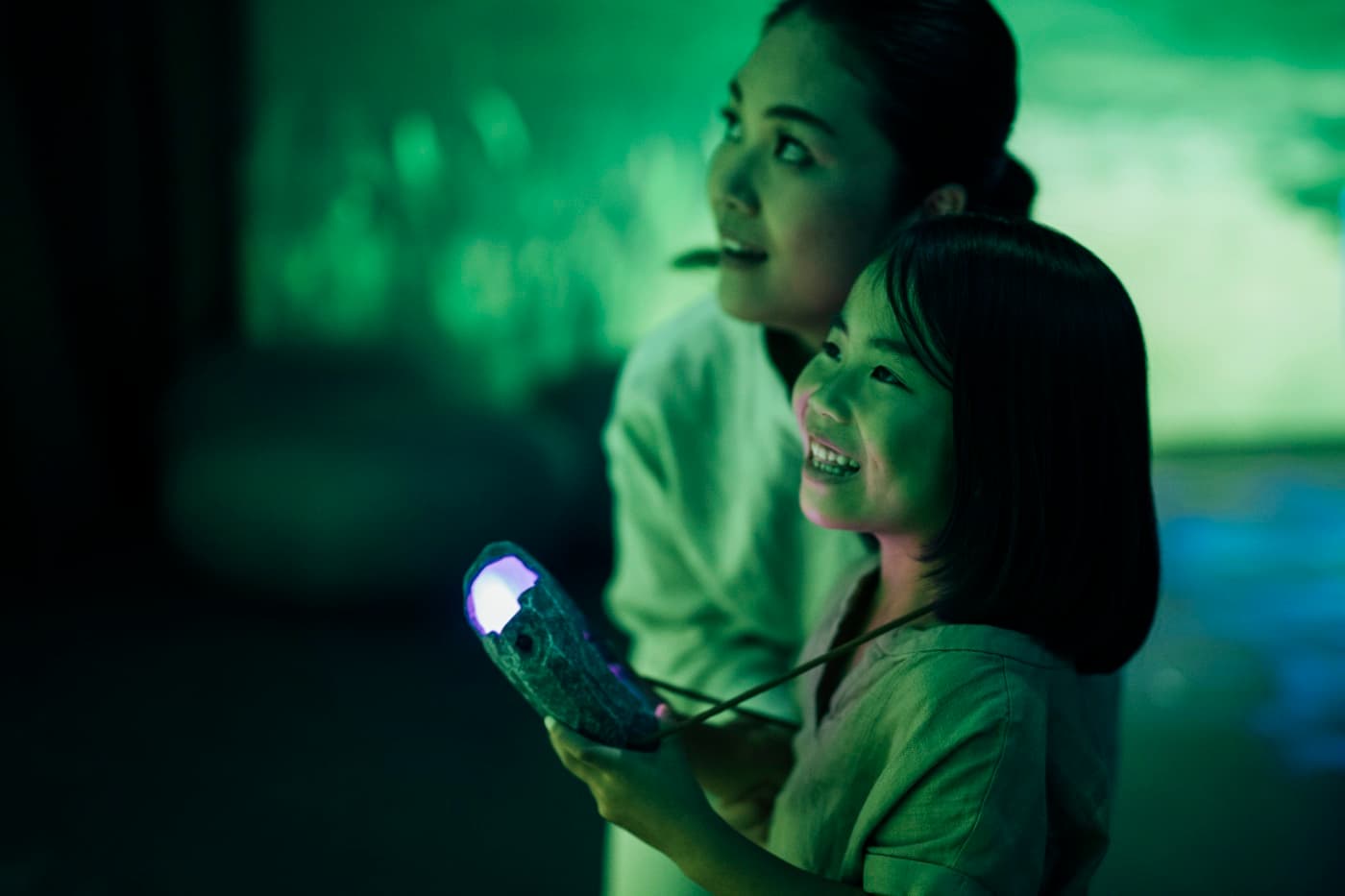 ZUKAN_ギャラリー_4