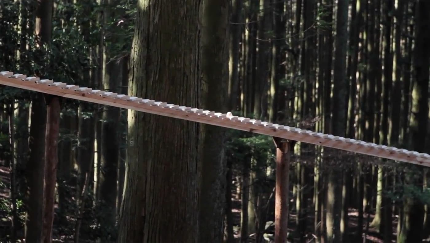 Xylophone_ギャラリー_3